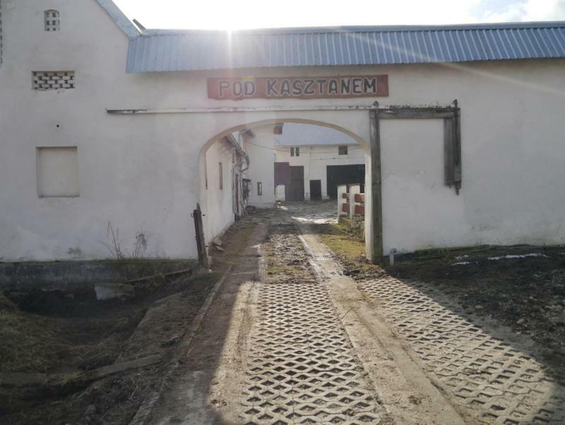 Stronie Śląskie Pod Kasztanem Gospodarstwo Agroturystyczne المظهر الخارجي الصورة